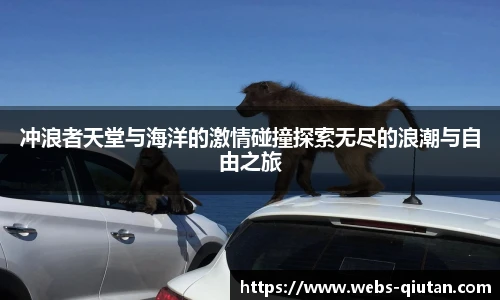 球探体育